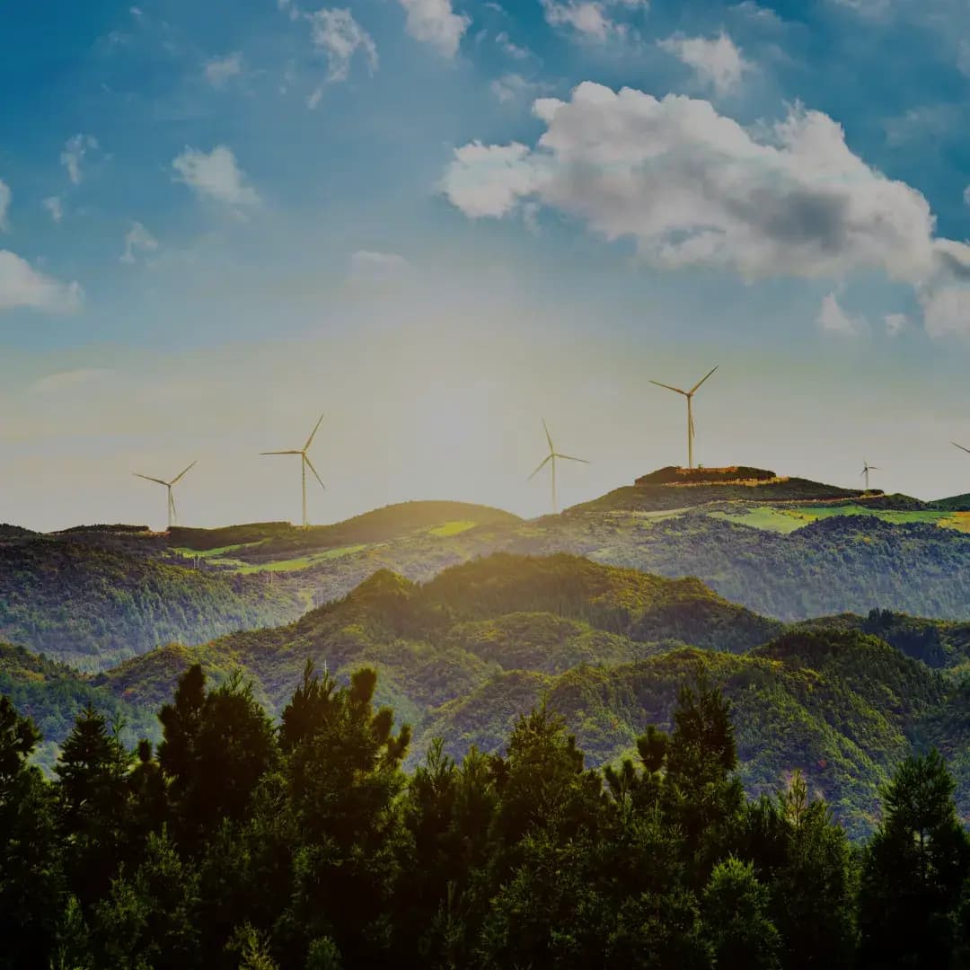 Deep Commitment to a Sustainable Tomorrow